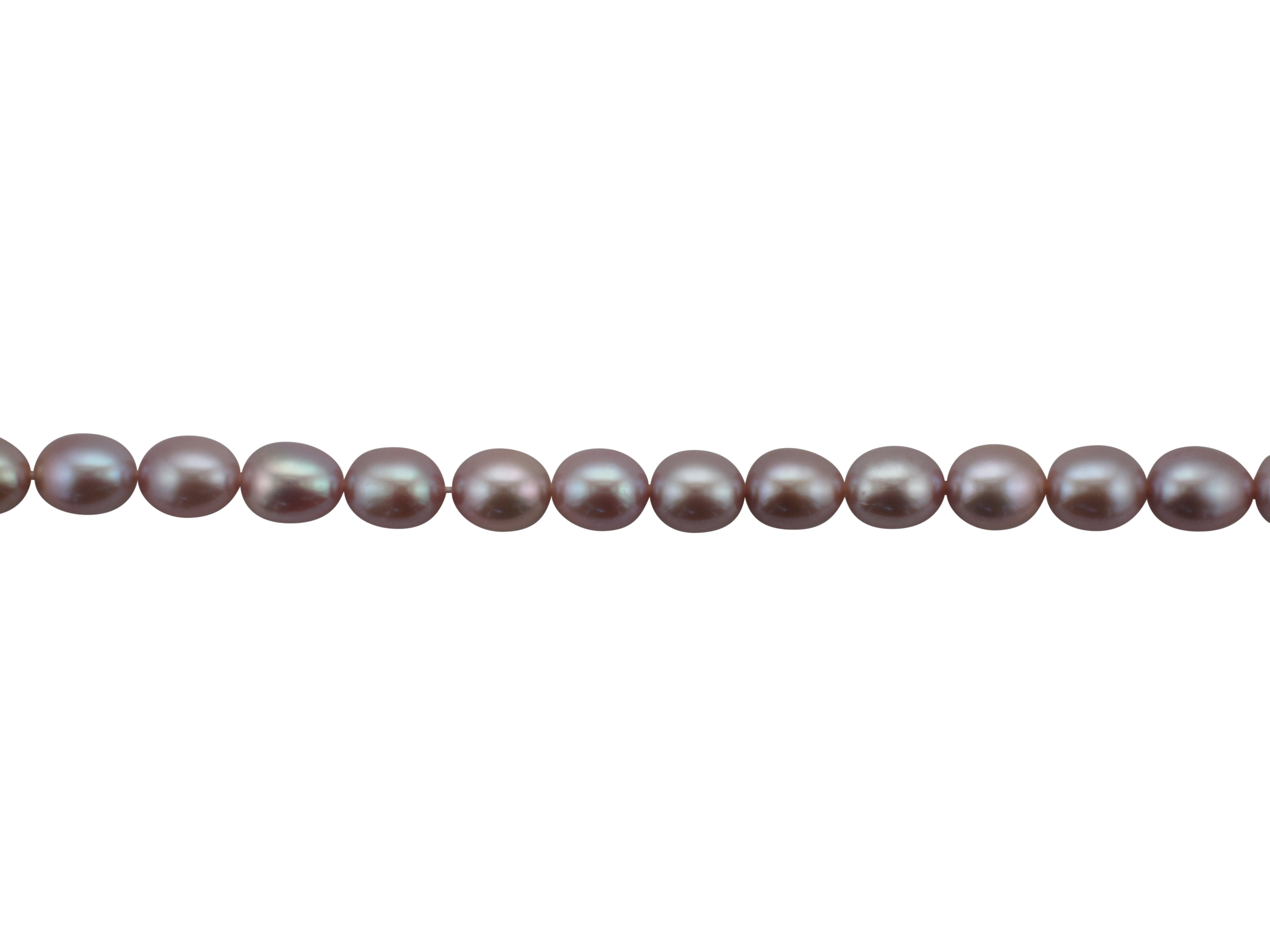 Freshwater Pearl Necklace Row